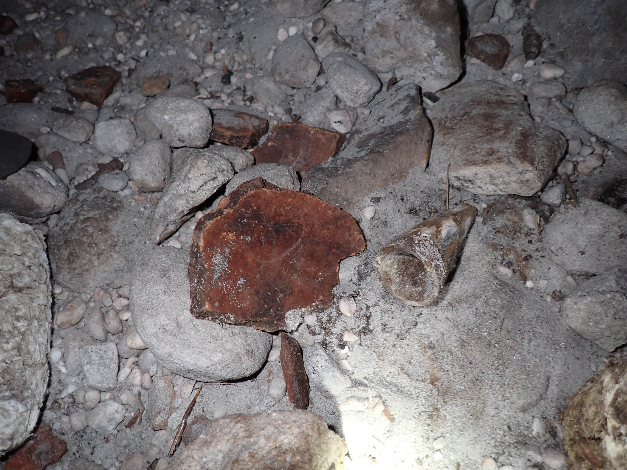 Broken pot shards and a horn tip[Photo][20260328]